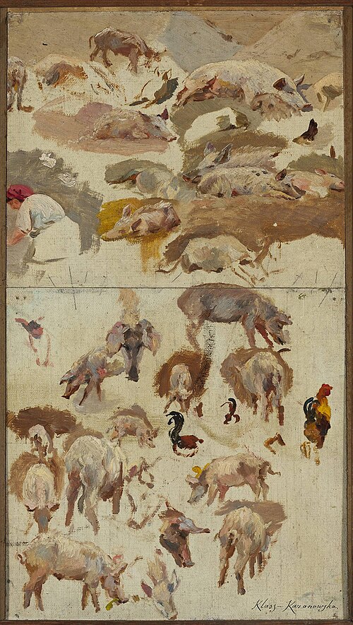 Studies of pigs, , Maria Klass-Kazanowska