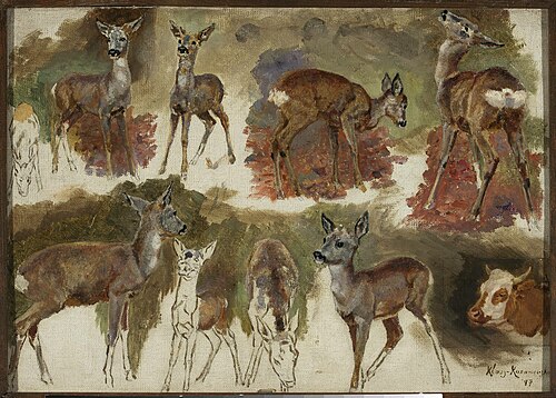 Studies of does, 1897, Maria Klass-Kazanowska