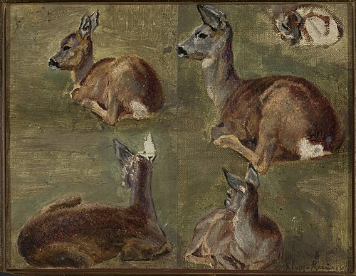 Sketches of fawns, 1897, Maria Klass-Kazanowska