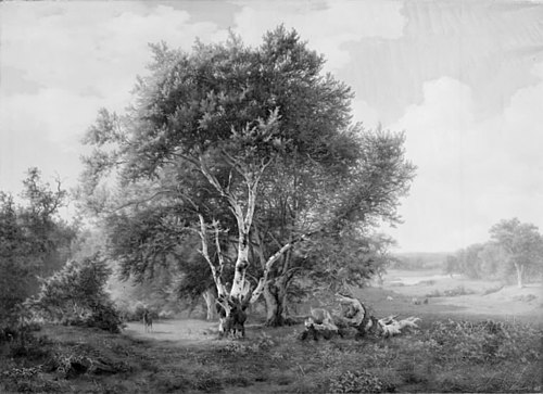 A Landscape near Frederiksborg Castle, 1845, Joachim Ludwig Heinrich Daniel