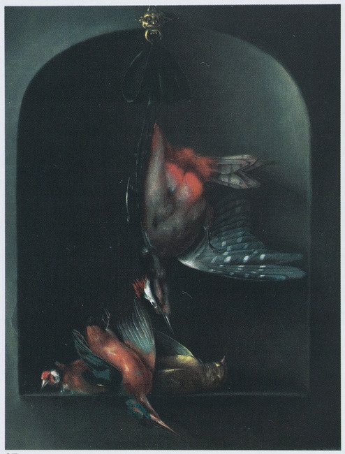 Still life of dead birds, 1662, Godfriedt van Bochoutt