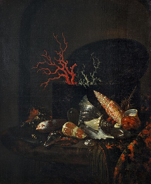 Stillleben mit Meerschnecken, 1652, Willem Kalf
