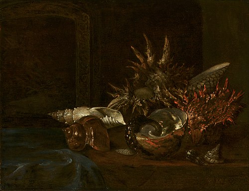 Nature morte aux coquillages, 1653, Willem Kalf
