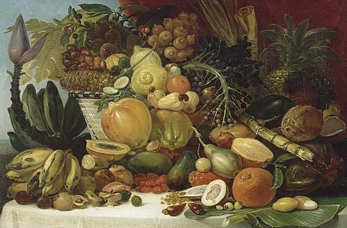 Les Fruits du Nouveau Monde, 1822, Jean-Baptiste Debret