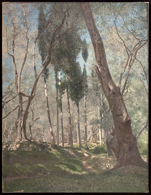 Oliviers à Menton, 1897, Henry Brokmann