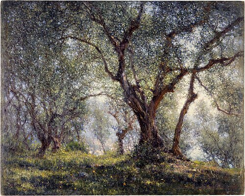 Les oliviers à Menton, 1918, Henry Brokmann