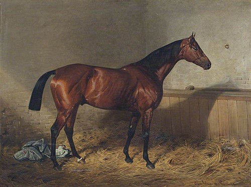 Melton, a Bay Racehorse, in a Stable, 1885, Emil Adam