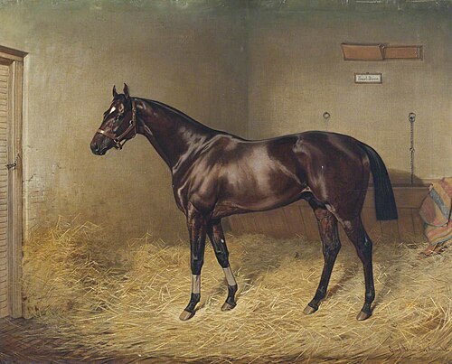 Pearl Diver, a Bay Race Horse, in a Stable, 1887, Emil Adam
