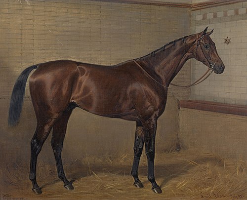 Persimmon, , Emil Adam