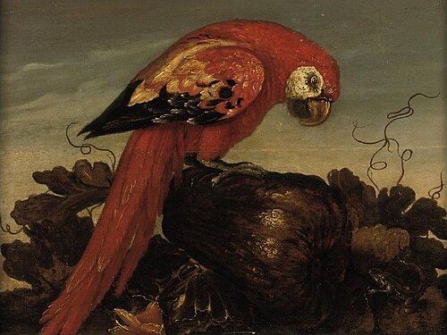 Parrot sitting on a large vegetable, eying a small lizard, 1650, Abraham Bosschaert