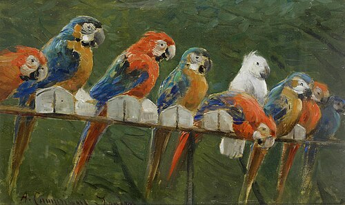 Pappagalli, 1933, Alceste Campriani