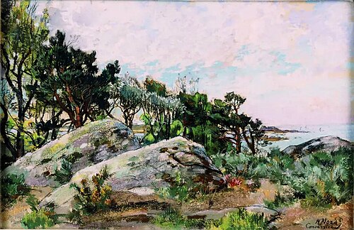 Concarneau, pointe du Cabellou vu de Kerandon, , Alexandre Nozal