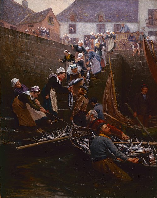 Débarquement du thon à Concarneau, , Alfred Guillou