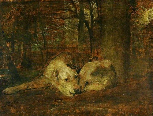 Study of a Dog, 1851, Alfred Stevens