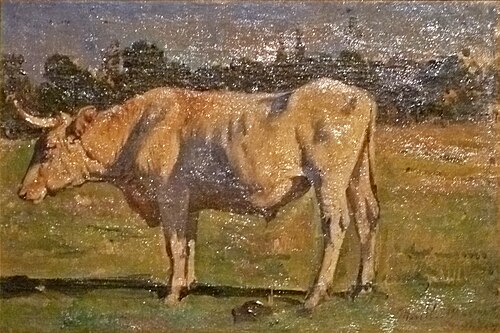 Bull (study), , Alfred Verwée