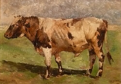 Ox (study), , Alfred Verwée
