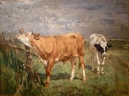 Bull at a fence (Knokke), , Alfred Verwée