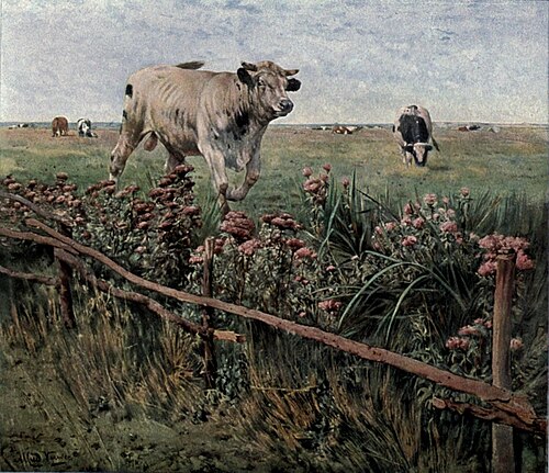 Le taureau dans ??, , Alfred Verwée