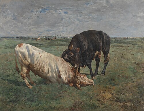 Combat entre deux jeunes taureaux, 1883, Alfred Verwée