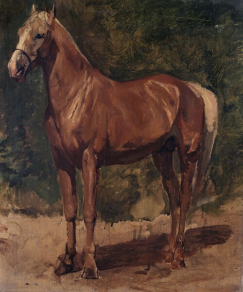 Étude d'un cheval, , Alfred Verwée