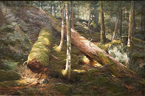 Forêt primitive, 1870, Allan Edson