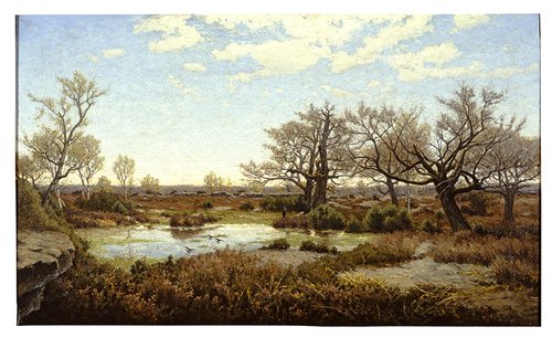 La mare aux Fées in Fontainebleau, 1876, Alphonse Asselbergs