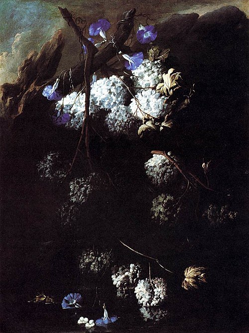 Flowers, 1680, Andrea Belvedere
