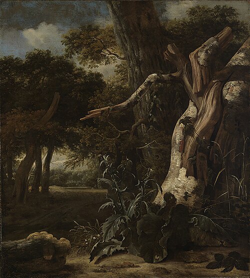 Wooded landscape, 1669, Jan van Kessel