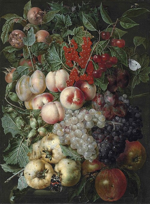 Grapes, peaches, hazelnuts, quinces, redcurrants and other fruit, with a brimstone butterfly, a bumb, 1655, 'the other' Jan van Kessel