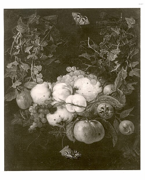 Still Life with Fruit, 1651, 'the other' Jan van Kessel
