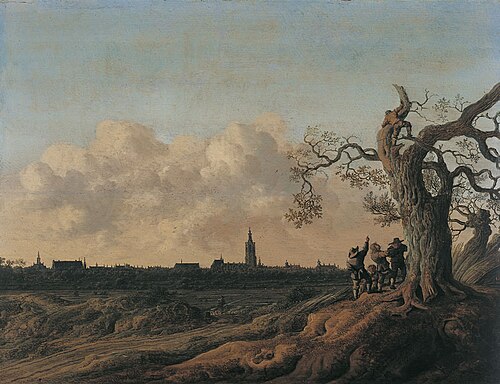 La Haye vue du Nord, 1655, Anthonie van Croos