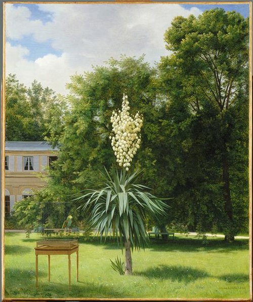 Yucca Gloriosa in Parc de Neuilly, 1844, 1845, Antoine Chazal