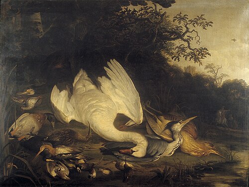 Zwaan, aascholver en andere dode vogels in een landschap, 1678, Jacob Jacobsz de Wet