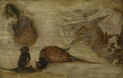 Étude de singes, de chevreuil et d'autres animaux, 1623, Jan Brueghel le Jeune