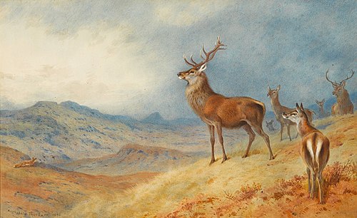 Red Deer In A Highland Landscape, , Archibald Thorburn