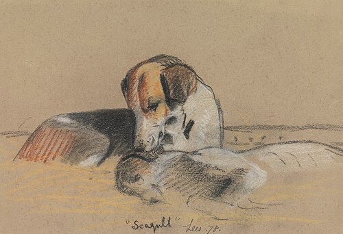 Hounds: "Seagull", 1878, Archibald Thorburn