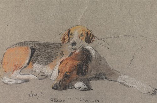 Hounds: "Fleur" and "Frogmore", 1878, Archibald Thorburn