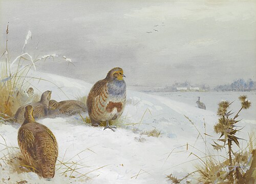 Hard times – partridges and a hare, 1892, Archibald Thorburn