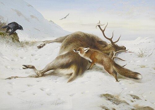 Not for the larder, 1904, Archibald Thorburn