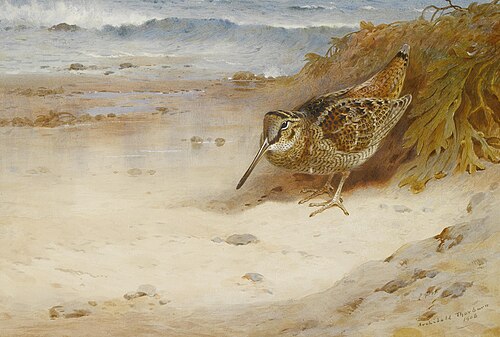 Hungry and homeless, 1908, Archibald Thorburn