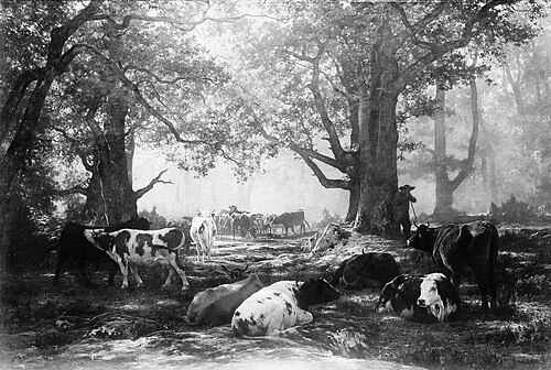 Environs of Fontainebleau: Woodland and Cattle, 1864, Auguste Bonheur