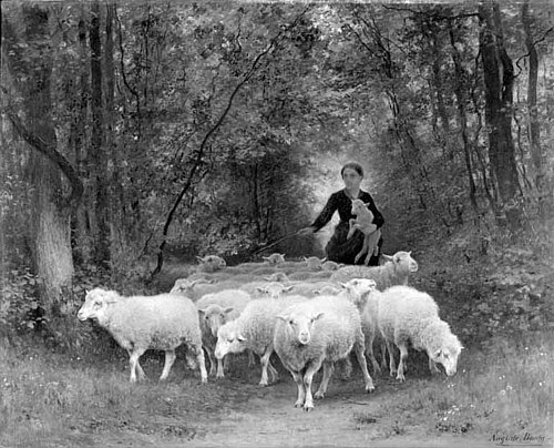 Schapen in het bos, 1850, Auguste Bonheur