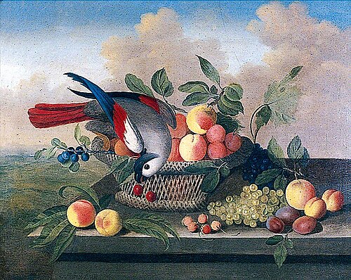 A Parakeet Perched on a Basket of Mixed Fruit, including Peaches, Grapes, Cherries and Plums, , Louis Leonard Hübner