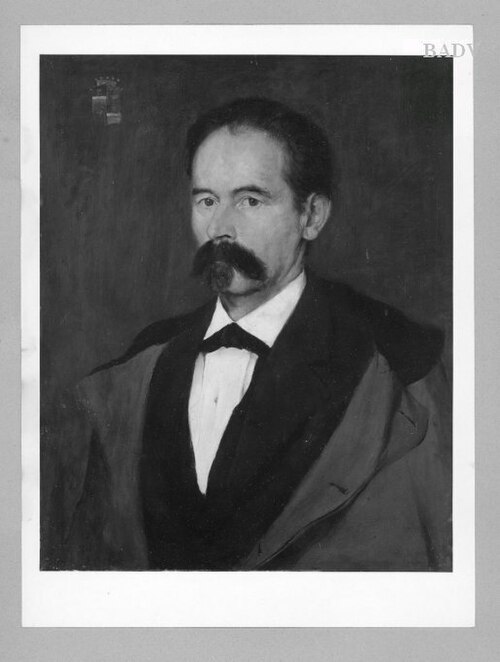 Porträt Heinrich Ritter von Reichardt, 1878, Hermann Ziebland