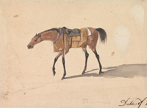 A Saddle Horse of the Duke of Devonshire, , Peter Tillemans