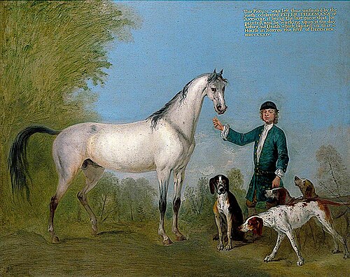 Horse with Groom and Hounds, 1734, Peter Tillemans