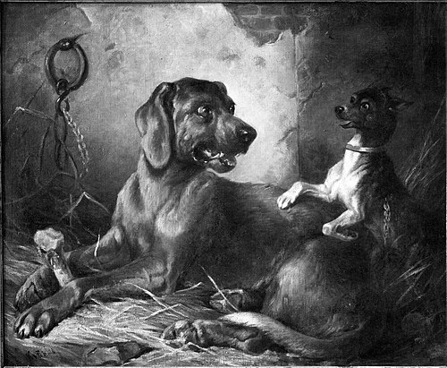 Two Hounds in a Stable, , Charles-Frédéric Kiörboe