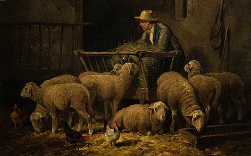 Feeding Sheep, , Frans De Beul