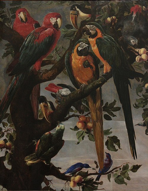 Perroquets et autres oiseaux, 1700, Frans Snyders