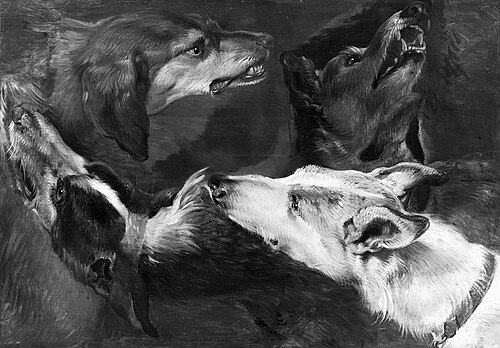A study of four dogs, 1612, Frans Snyders